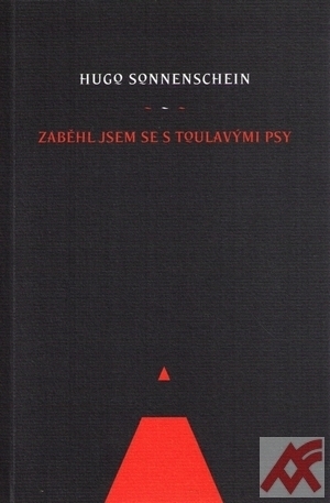 Zaběhl jsem se s toulavými psy