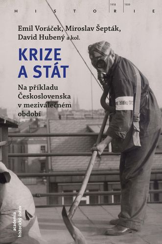 Krize a stát