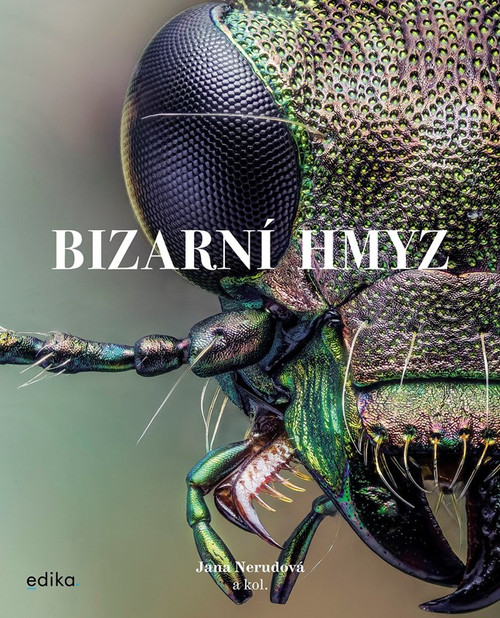 Bizarní hmyz
