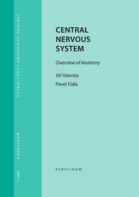 Central Nervous System Owerview of Anatomy
