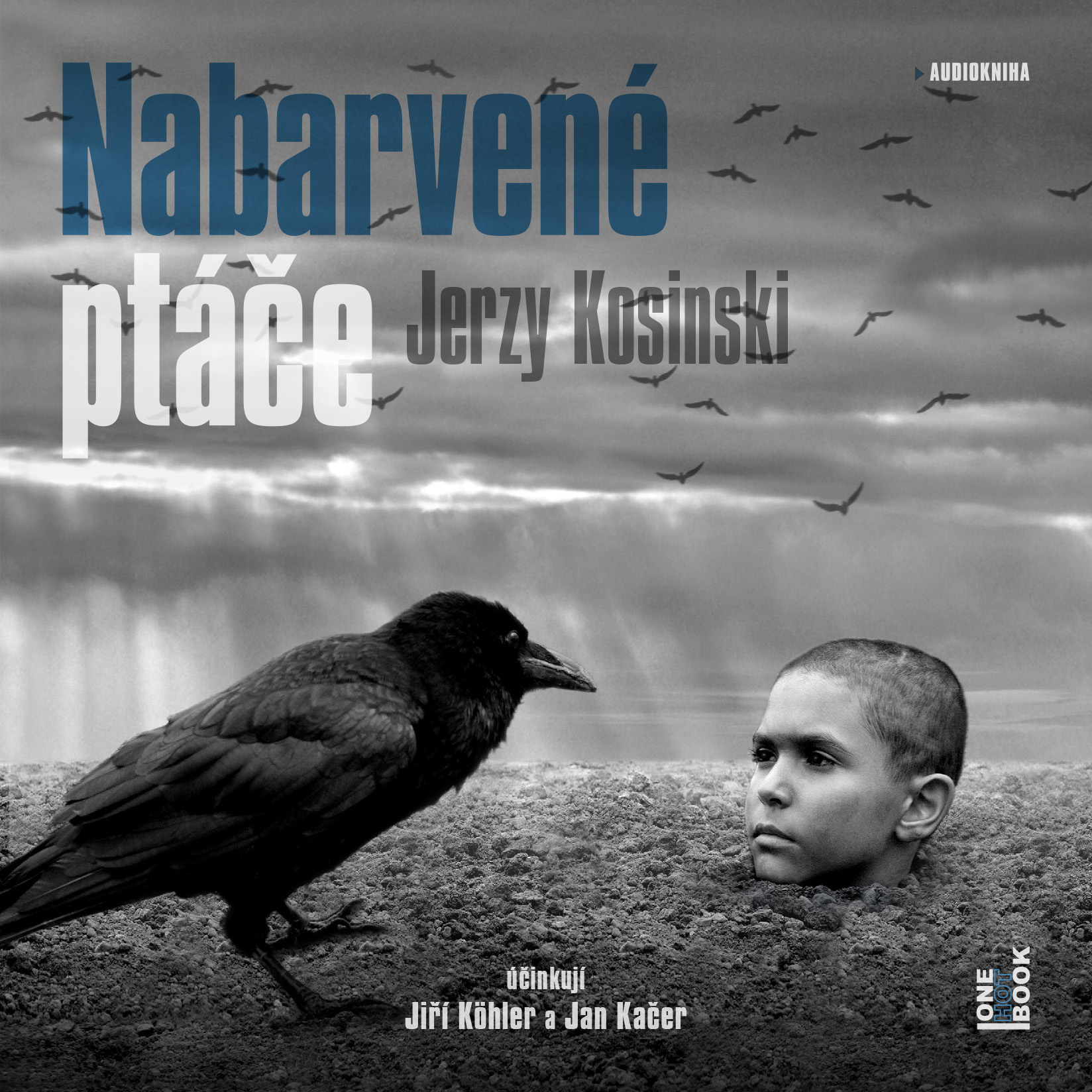 Nabarvené ptáče