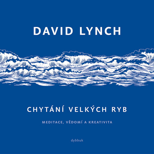 Chytání velkých ryb