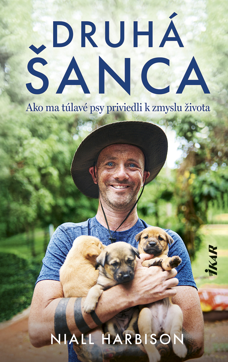 Druhá šanca: Ako ma túlavé psy priviedli k zmyslu života