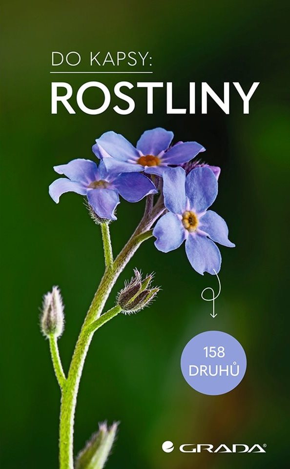 Do kapsy: Rostliny