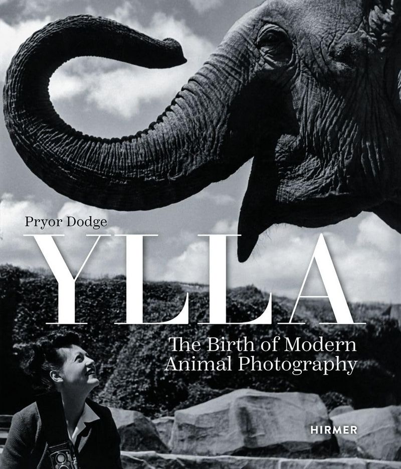 Ylla. The Birth of Modern Animal Photography