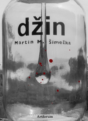 Šimečka Martin M.: Džin