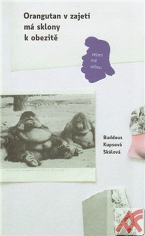 Orangutan v zajetí má sklon k obezitě