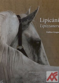 Lipicáni / Lipizzaners