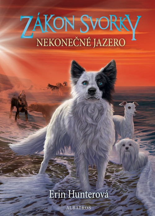 Zákon svorky 5: Nekonečné jazero