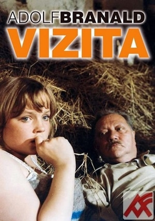 Vizita