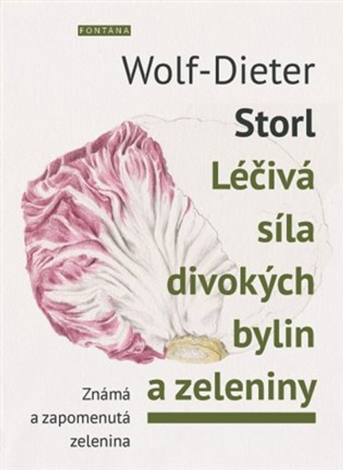 Léčivá síla divokých bylin a zeleniny