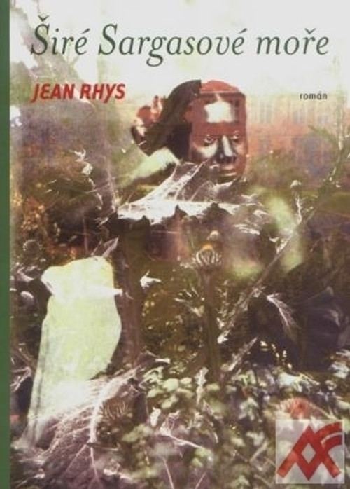 Širé Sargasové moře