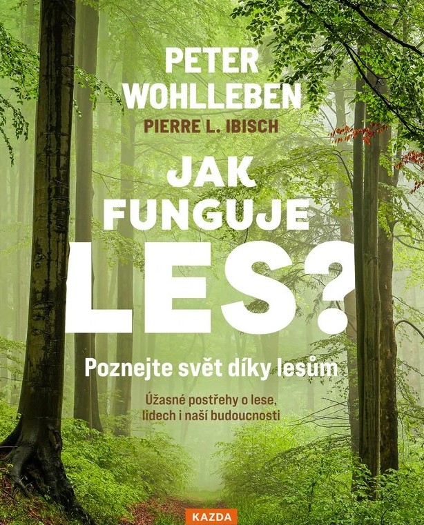 Jak funguje les? Jak funguje les?