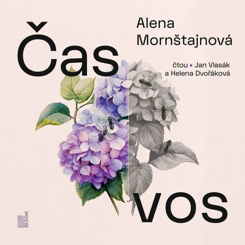 Čas vos - MP3 CD (audiokniha)
