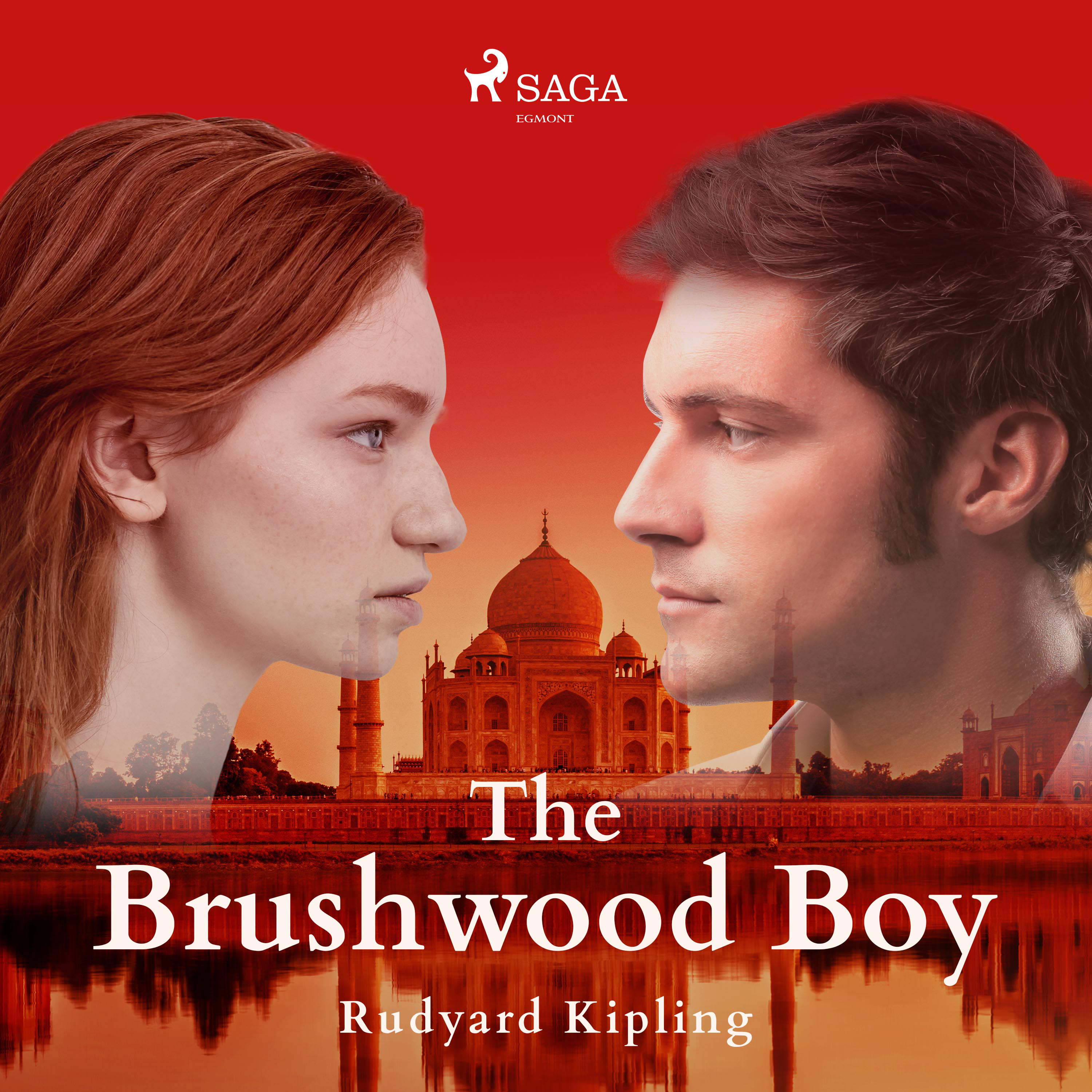 The Brushwood Boy (EN)