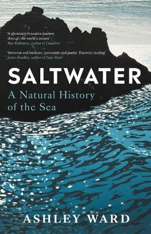 The World Beneath the Waves