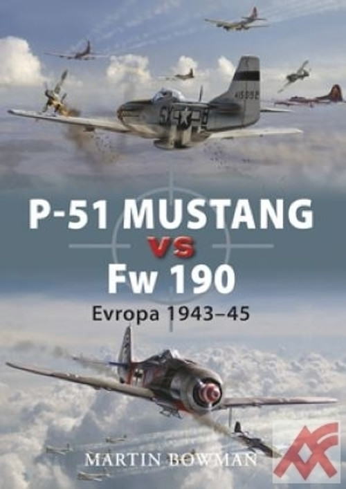 P-51 Mustang vs FW 190