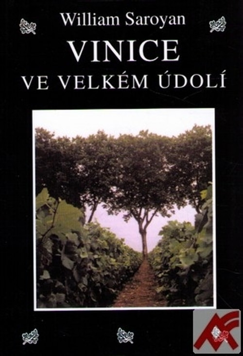 Vinice ve velkém údolí