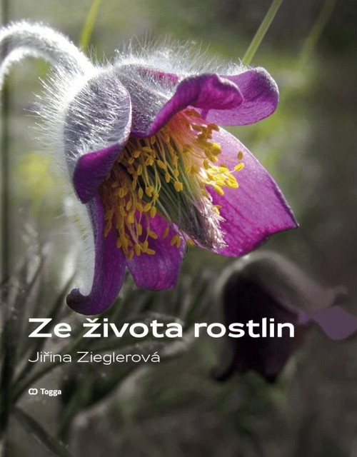 Ze života rostlin