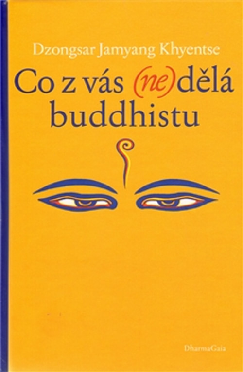 Co z vás (ne)dělá buddhistu