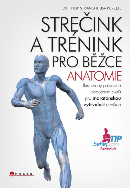 Strečink a trénink pro běžce. Anatomie