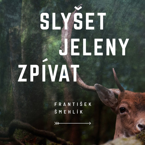 Slyšet jeleny zpívat