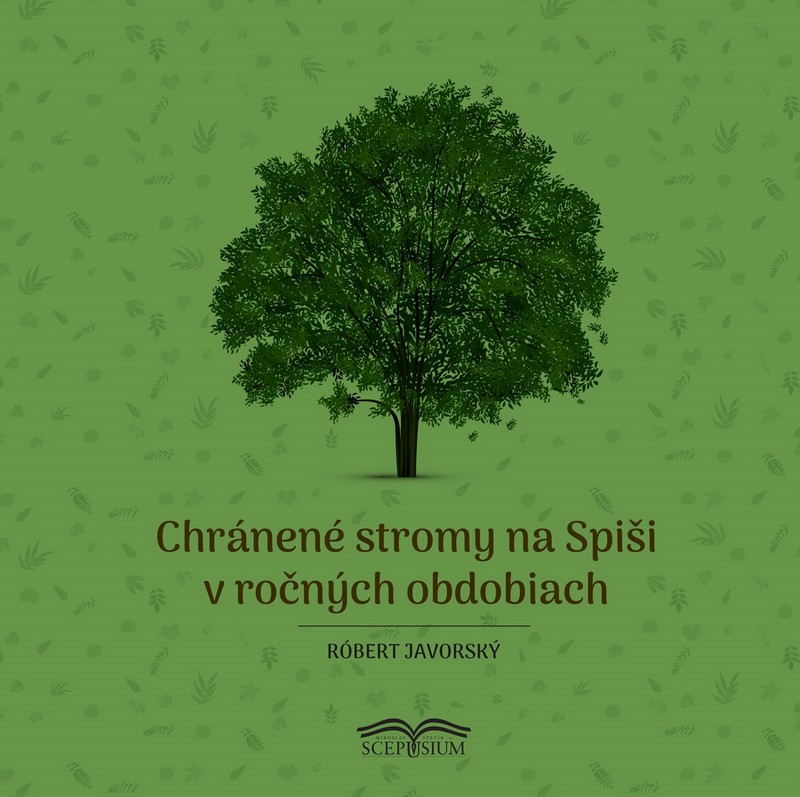 Chránené stromy na Spiši v ročných obdobiach