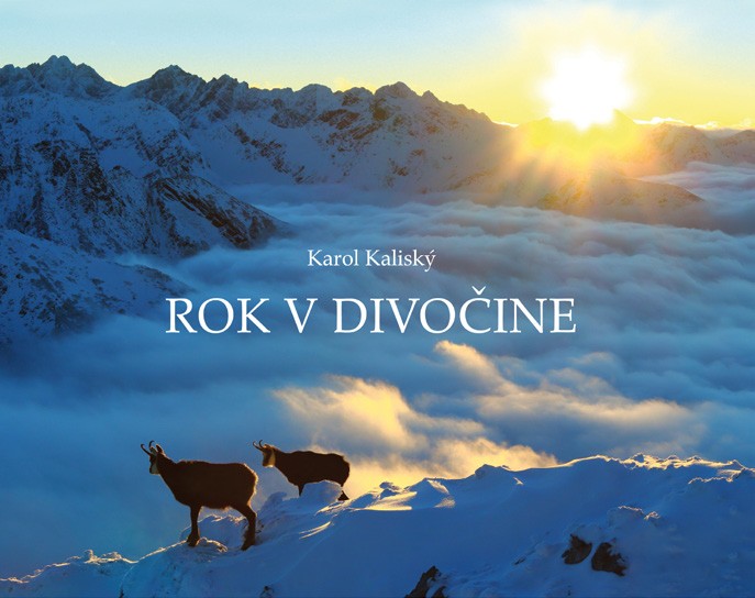 Rok v divočine