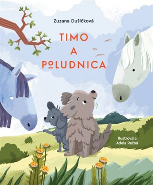 Timo a Poludnica