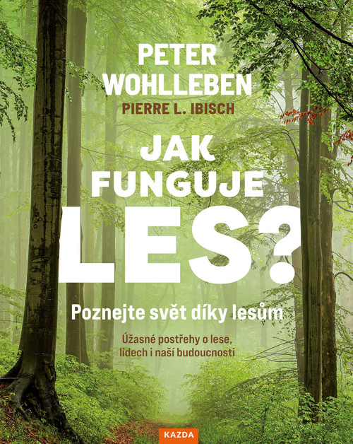 Jak funguje les?