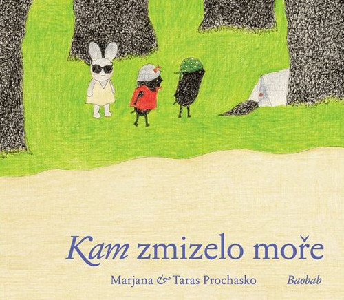 Kam zmizelo moře