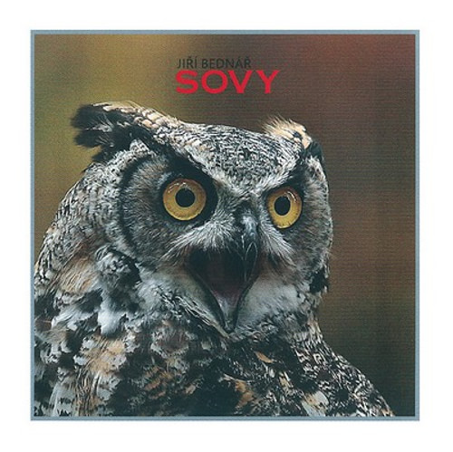 Sovy