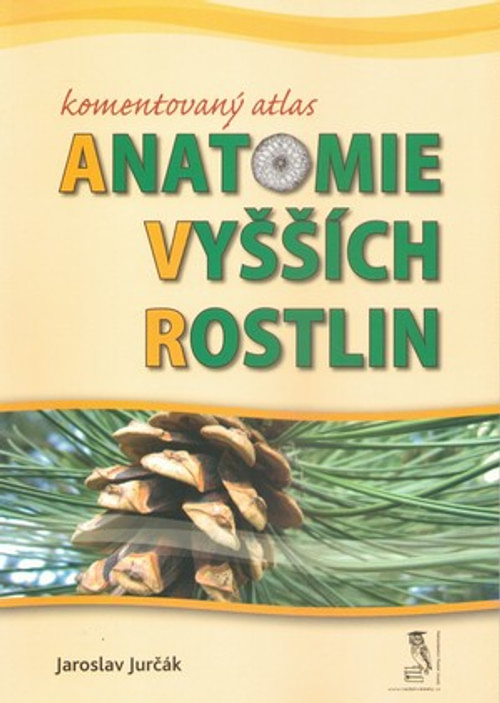 Komentovaný atlas anatomie vyšších rostlin