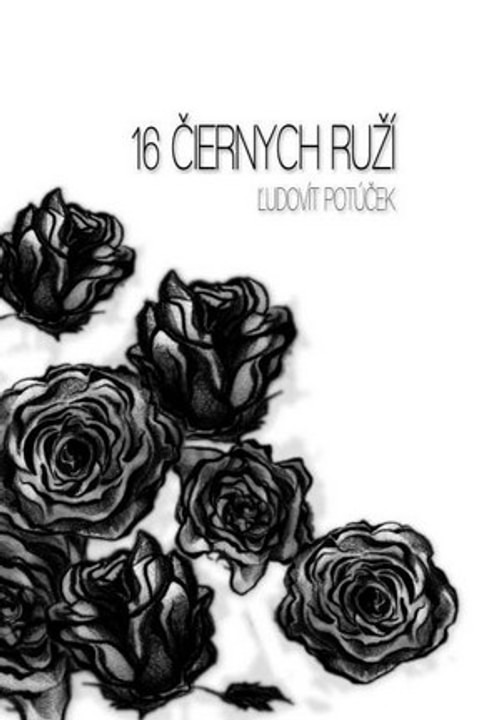 16 čiernych ruží