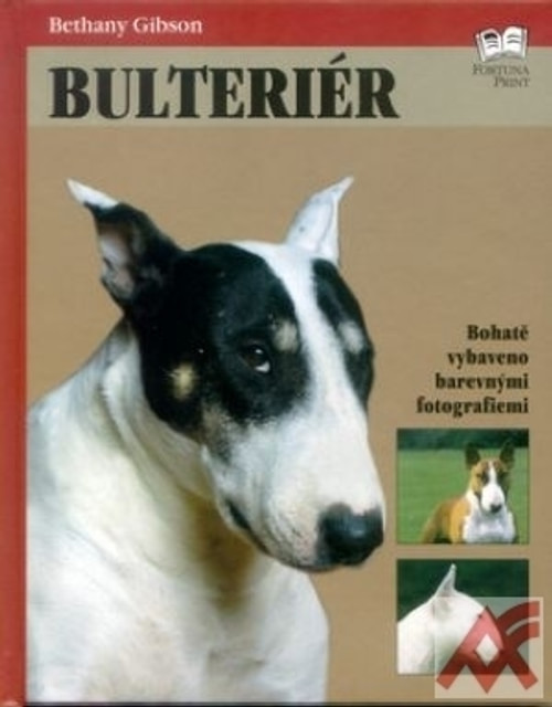 Bulteriér