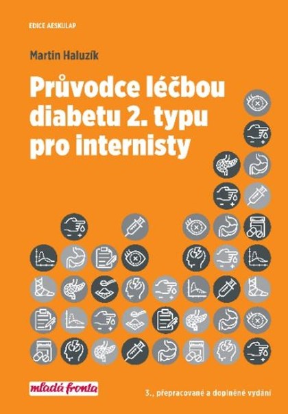 Průvodce léčbou diabetu 2. typu pro internisty