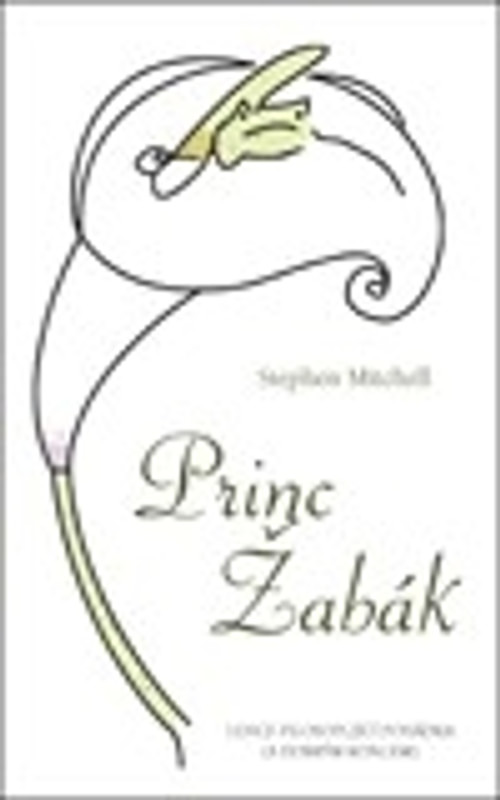 Princ Žabák - lehce filosofující pohádka (s dobrým koncem)