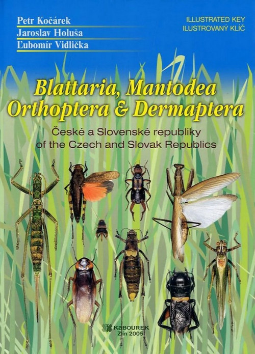 Blattaria, Mantodea, Orthoptera & Dermaptera of the Czech and Slovak Republic