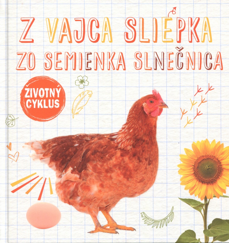 Z vajca sliepka, zo semienka slnečnica