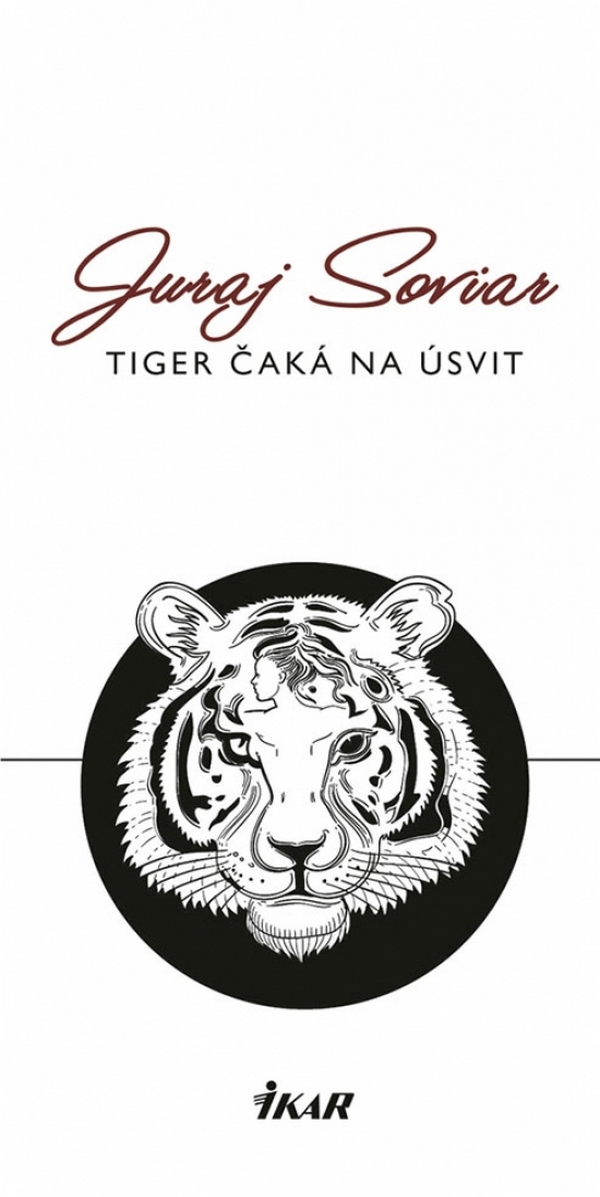 Tiger čaká na úsvit