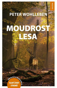 Moudrost lesa