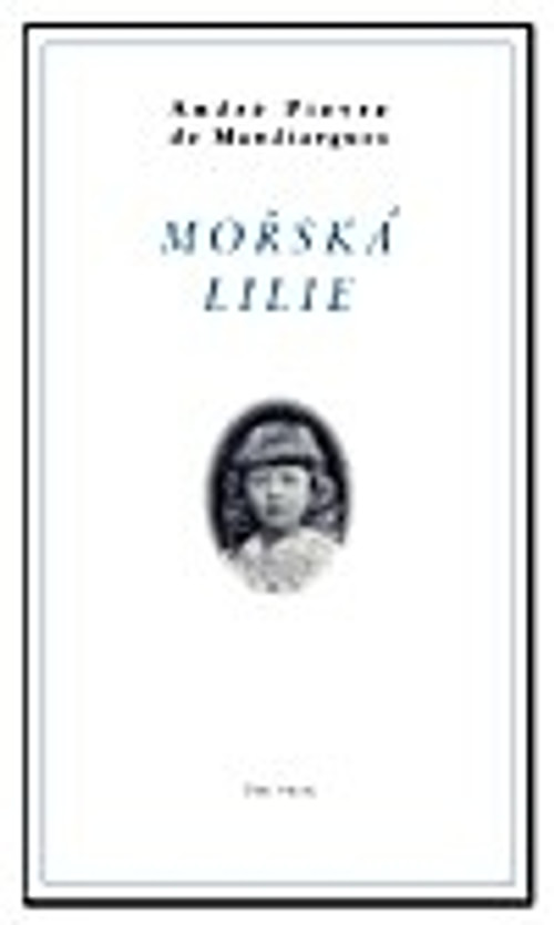 Mořská lilie