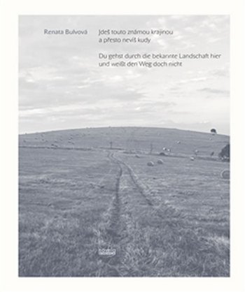 Kniha Jdeš touto známou krajinou a přesto nevíš kudy
