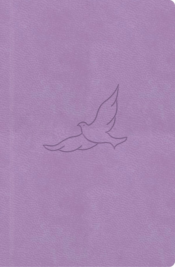 Bible21 - kapesní (lila)