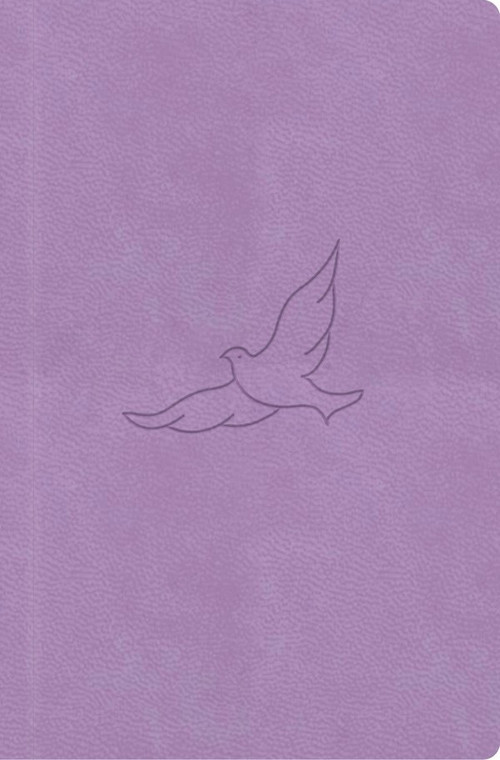 Bible21 - kapesní (lila)