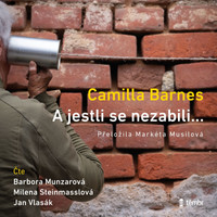 A jestli se nezabili.