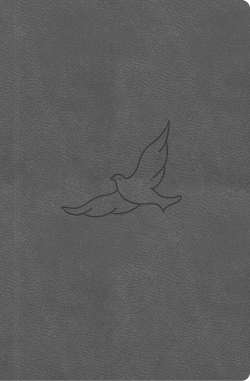 Bible21 - kapesní (pepper)