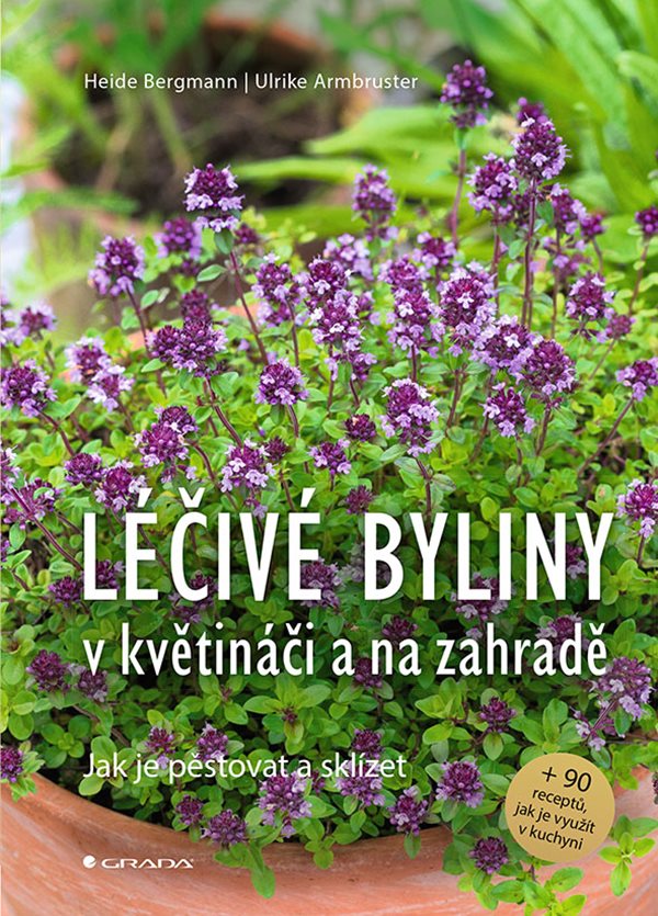 Léčivé byliny v květináči a na zahradě