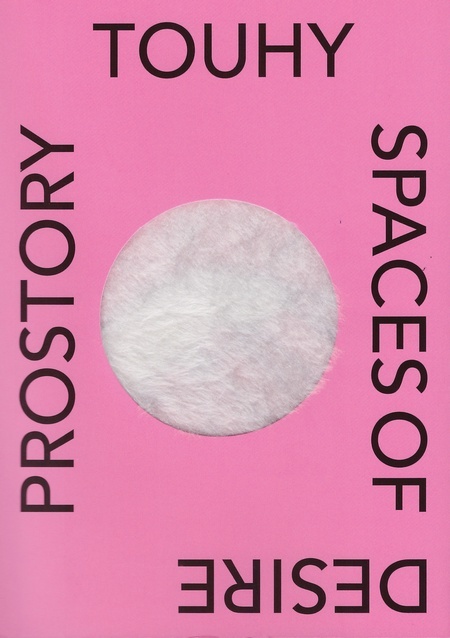 Kniha Prostory touhy / Spaces of Desire