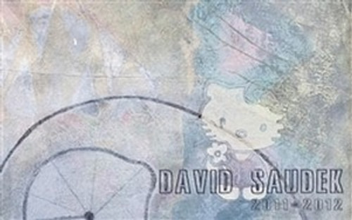 David Saudek 2011-2012